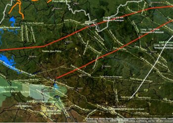 CONSTRUYENDO RESILIENCIA