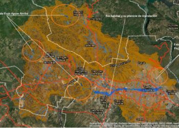 CONSTRUYENDO RESILIENCIA
