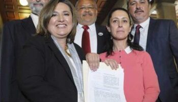 DE FRENTE Y DE PERFIL