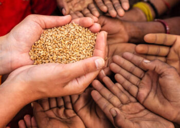 ALGO MÁS QUE PALABRAS