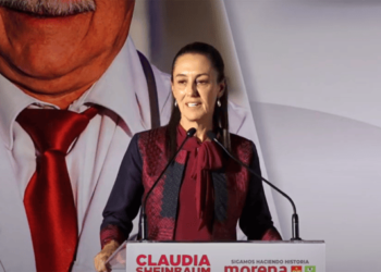 DE FRENTE Y DE PERFIL