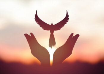 ALGO MÁS QUE PALABRAS