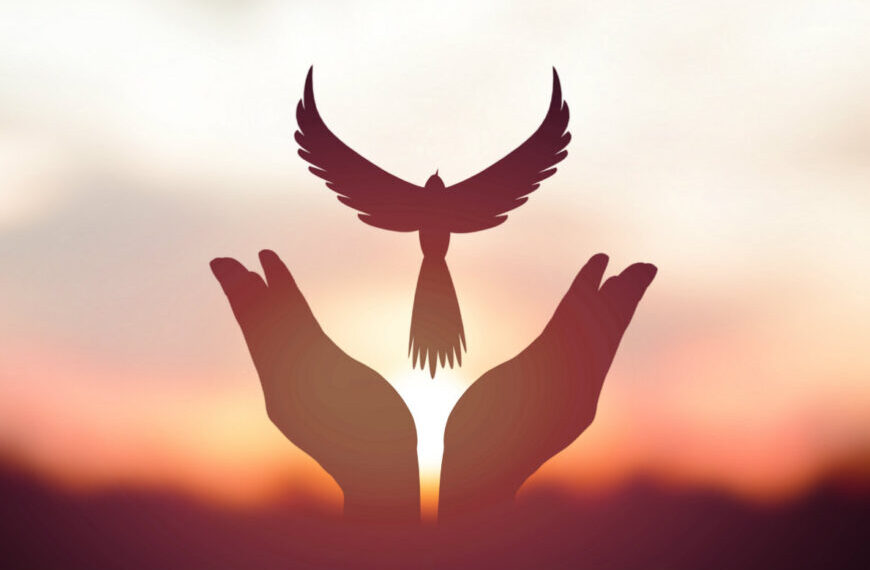 ALGO MÁS QUE PALABRAS