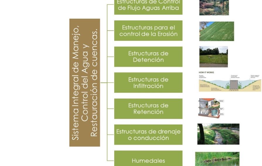 CONSTRUYENDO RESILIENCIA