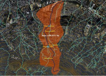 CONSTRUYENDO RESILIENCIA