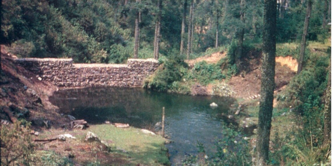 Construyendo resiliencia