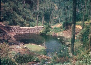 Construyendo resiliencia