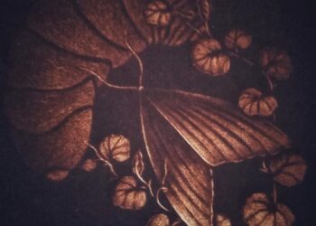 Sandra Díaz, grabadora de la metamorfosis