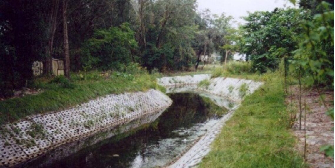 Construyendo resiliencia