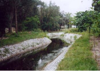 Construyendo resiliencia