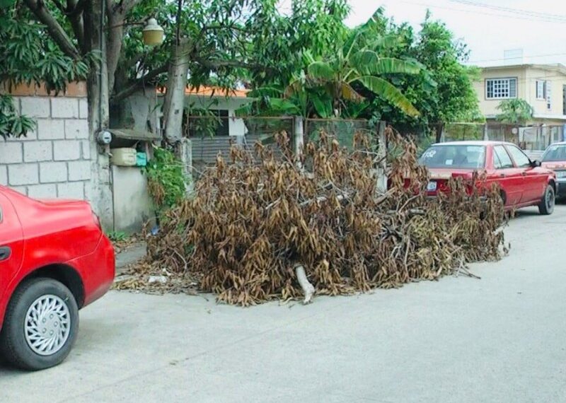 En barrio Niño de Atocha piden limpia de banquetas