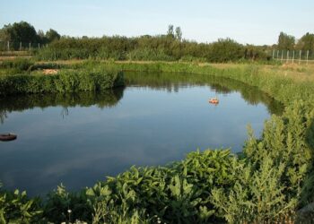 Construyendo resiliencia