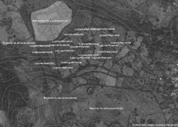 Construyendo resiliencia