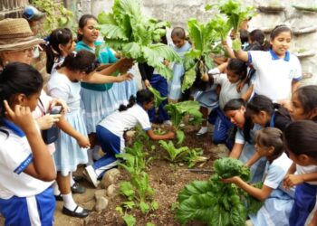 Educación ambiental, responsabildad de todos