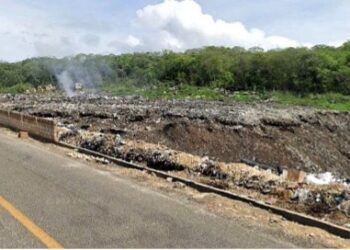 Construyendo resiliencia
