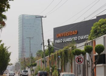 Universidad Pablo Guardado Chávez 