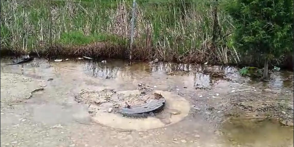 Continúa contaminación en humedales María Eugenia