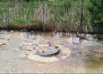 Continúa contaminación en humedales María Eugenia
