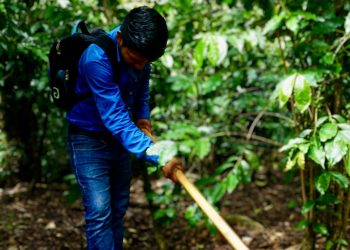 Aranceles de Trump, una amenaza a la agricultura