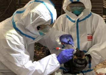 China niega teoría de que la Covid se originó en laboratorio