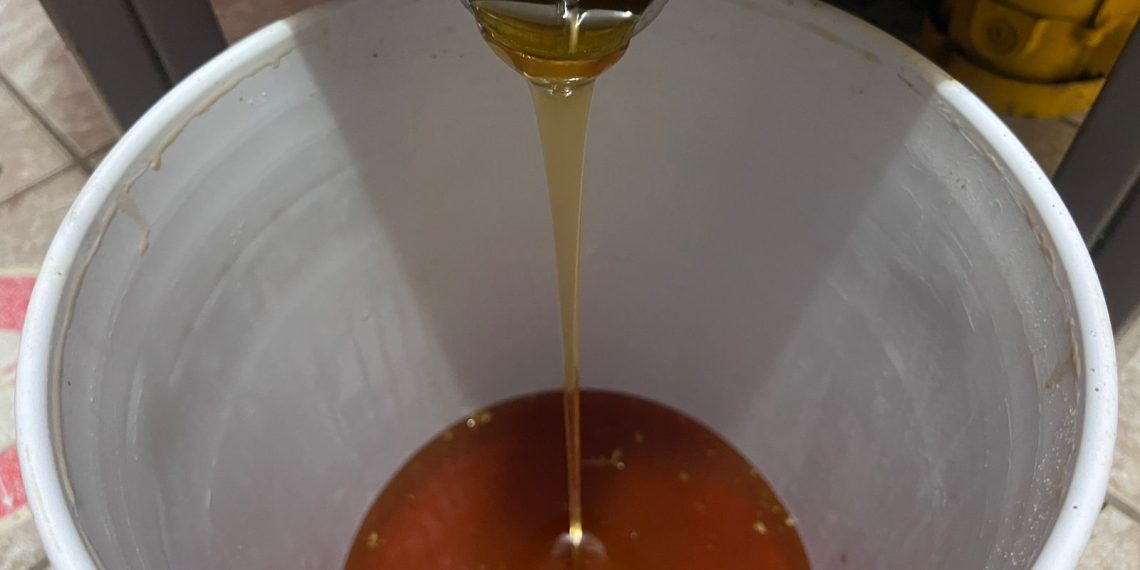 Apicultura es afectada por el cambio climático