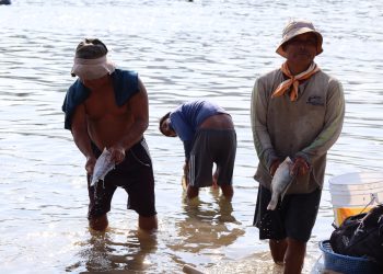 60% de pescadores son excluidos de Bienpesca