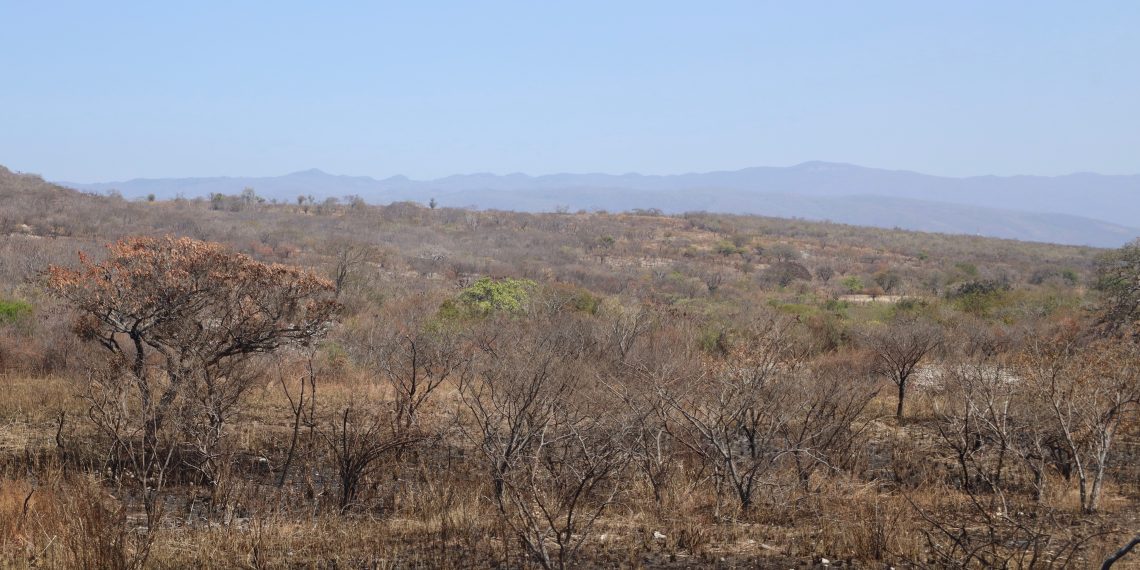 Sequía amenaza a al menos 2 de cada 10 municipios en la entidad