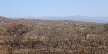 Sequía amenaza a al menos 2 de cada 10 municipios en la entidad