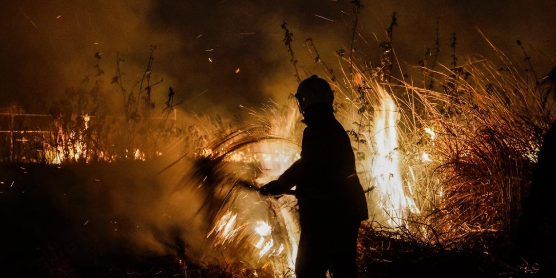 Masivas muertes de animales son denunciadas por ganaderos