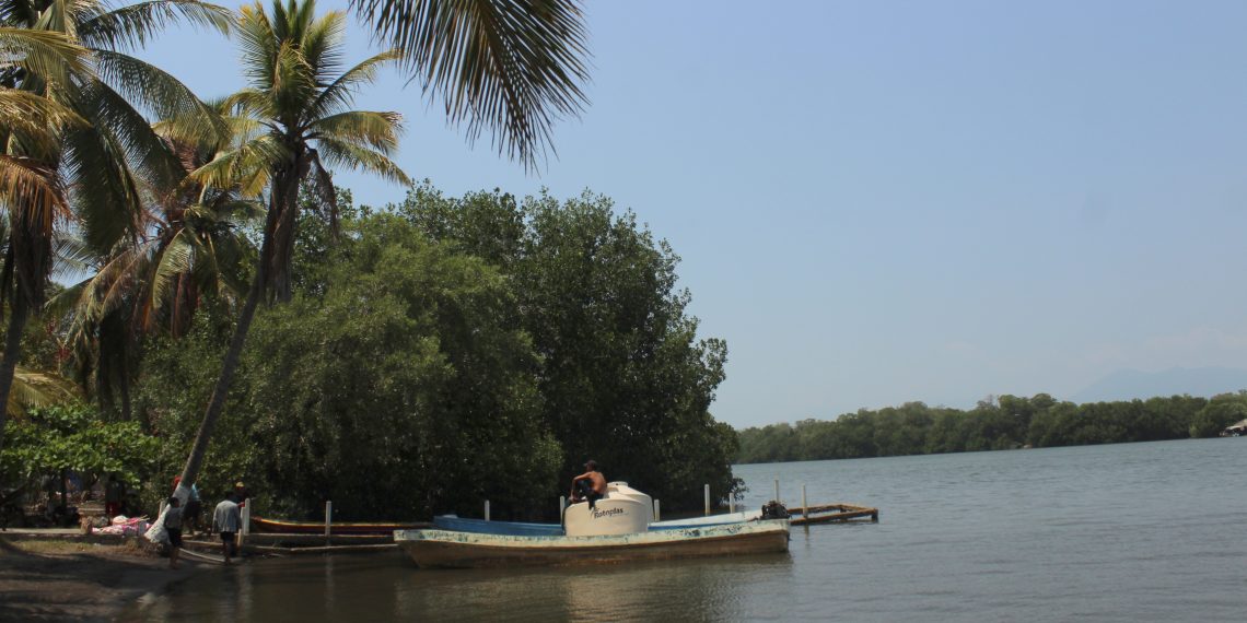 Biodiversidad en Tapachula es desplazada por actividad humana