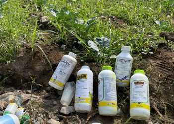 Menores murieron por inhalación de pesticidas