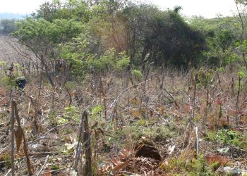 San Fernando: Urbanización sin freno y sin regularización