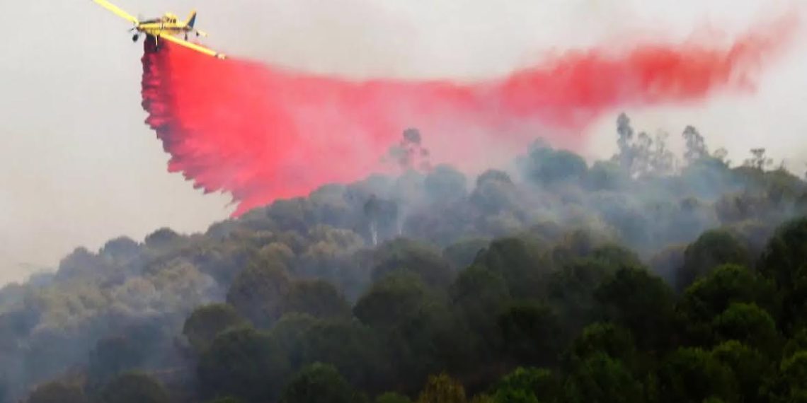 CUÍDATE DE LOS IDUS DE MARZO!