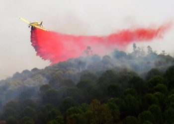 CUÍDATE DE LOS IDUS DE MARZO!