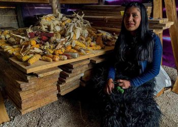 Congreso de Chiapas aprueba ley para proteger el maíz nativo