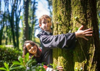 ALGO MÁS QUE PALABRAS