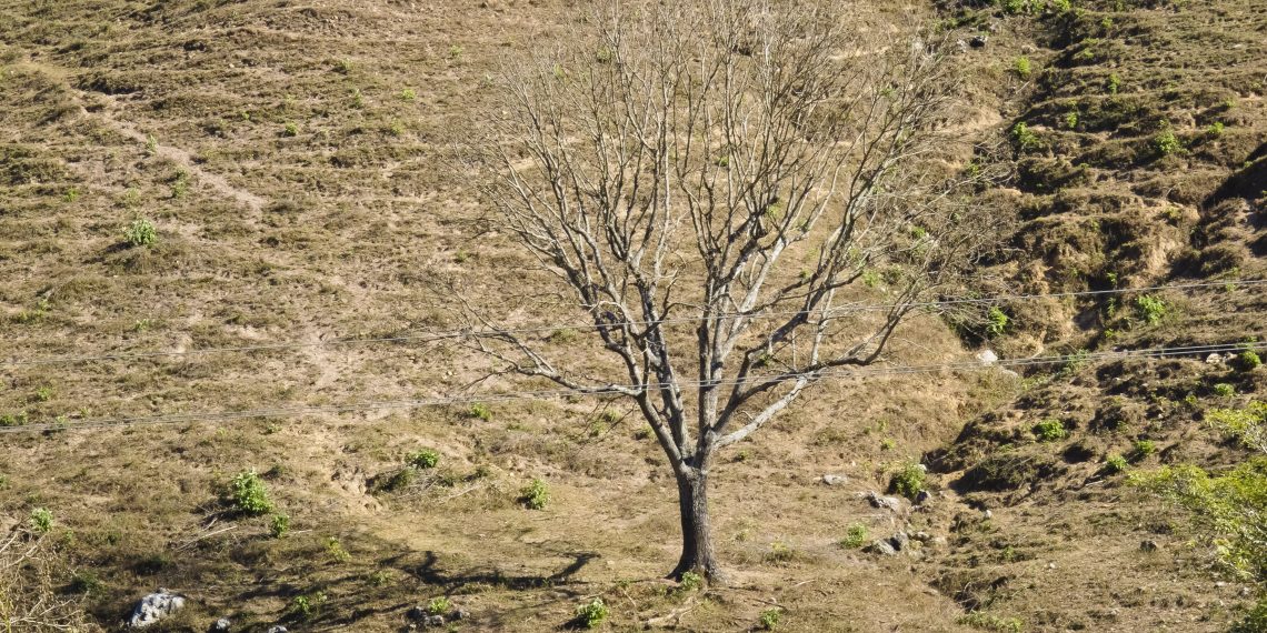 Reportan severa crisis hídrica en frontera sur