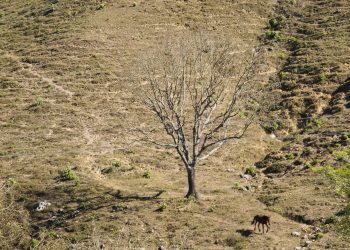 Reportan severa crisis hídrica en frontera sur