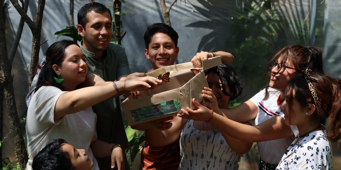 Liberan mariposas monarcas locales en Chiapas