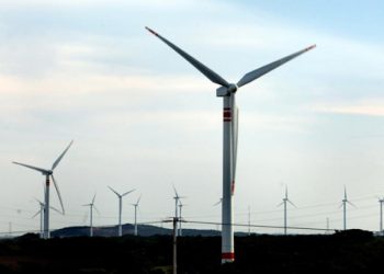 11 especies amenazadas por Parque eólico en Arriaga