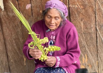 Las chiapanecas de la Palma: Artesanas de Aguacatenango