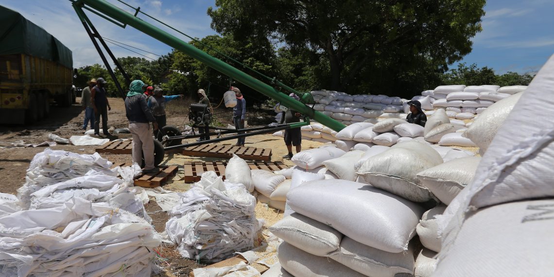 Ante el colapso comercial piden proteger agricultura