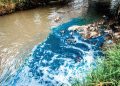 Crisis por contaminación en el río de Ribera Cupía