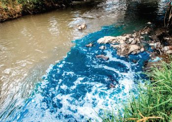 Crisis por contaminación en el río de Ribera Cupía
