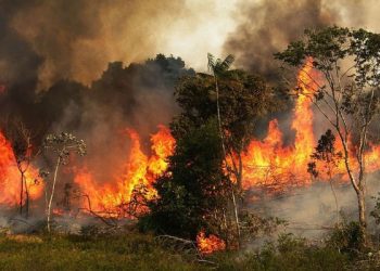 Contaminación del aire por incendios en Tuxtla Gutiérrez