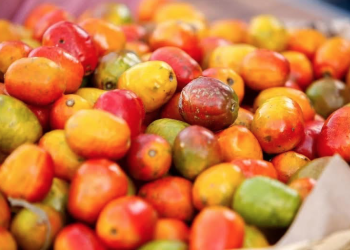 Jocote, fruta que abre caminos económicos en Chiapas