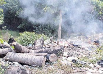 ANP Cabildo Amatal, al borde del colapso