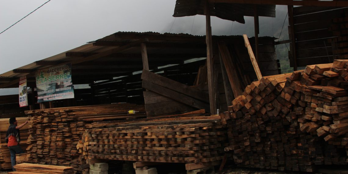 Cárcel por venta ilegal de terrenos forestales