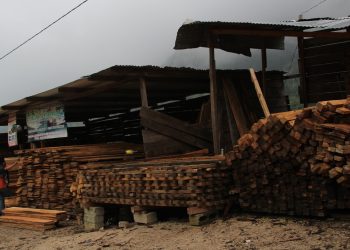 Cárcel por venta ilegal de terrenos forestales