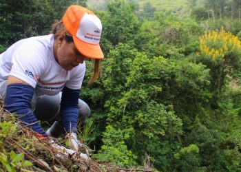 Comunidades vegetales en SCLC, afectadas por actividad humana
